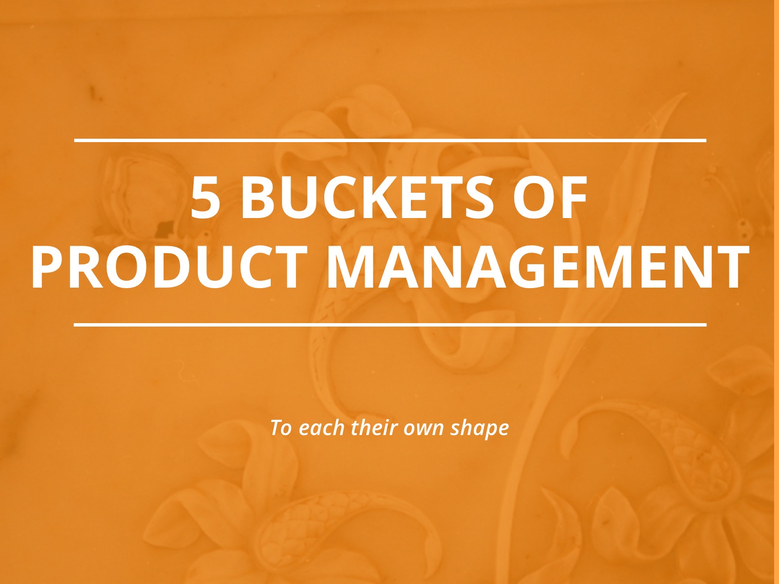 You are currently viewing Five Buckets Model for Product Management